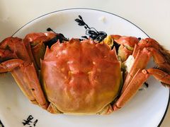 -七的湖·晚芳亭·阳澄湖农家菜·大闸蟹(莲花岛店)