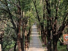 -虞山风景区