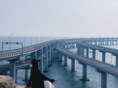 -星海湾跨海大桥
