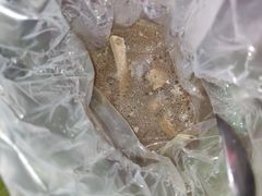-陈董药炖排骨(饶河街店)