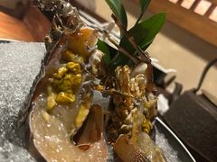 -揽季锅物会.福建黄鱼.海鲜姿造(五四路店)