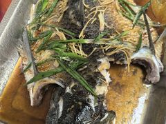 -华园农庄·特色炭烧鸡·北江河鲜