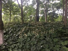 -尚贤河湿地
