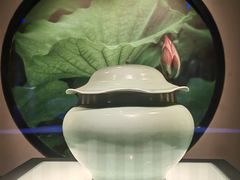 -四川宋瓷博物馆