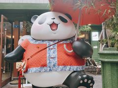 -轩客会(熊猫书店)