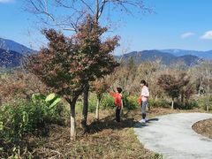 -广州市石门国家森林公园