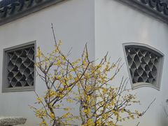 -无锡梅园公园