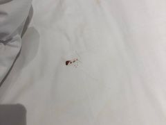 -曙光薇酒店(南京夫子庙老门东店)