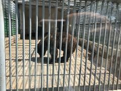 -祥源·阜阳生态乐园