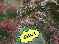 -广富林郊野公园