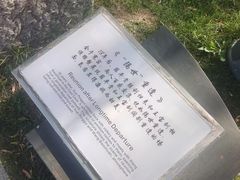 -西安曲江寒窑遗址公园