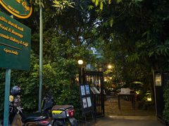 -Fern Forest Cafe