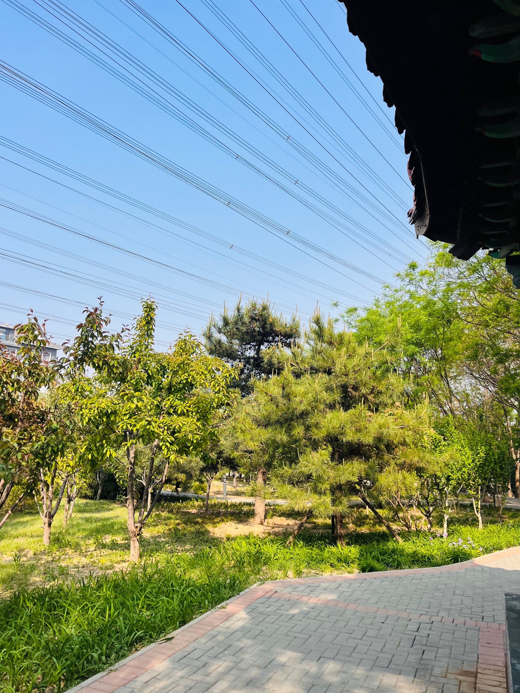 百子湾休闲公园