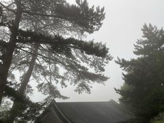 -妙峰山风景名胜区