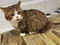 -小时光咖啡馆(北锣鼓巷店)