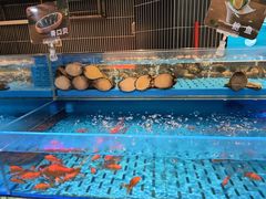 -海底捞火锅(长宁路龙之梦店)
