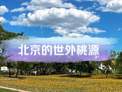 -辛庄国际文化艺术区