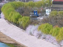 -桃花堤公园
