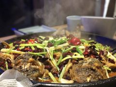 -老板恋上鱼(恒隆广场店)