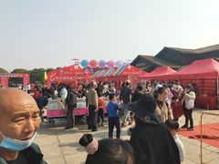 -南湖湿地公园