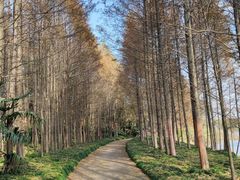 -上海市保健医疗中心