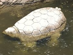 -洛阳花果山景区