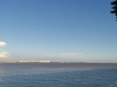 -大湾区中央湿地公园