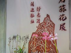 -杭州植物园