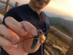 -阳台山自然风景区