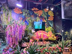 -正佳雨林生态植物园