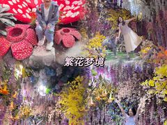 -正佳雨林生态植物园