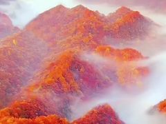 -少华山国家森林公园