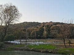 -宝界山林公园