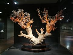 -台北故宫博物院