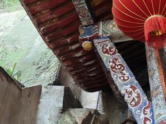 -南山植物园