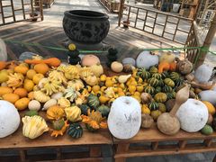 -陆地游轮吉林神农温泉