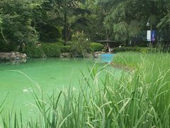 -静安公园(静安寺街道)
