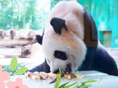 -杭州野生动物世界