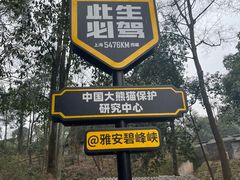 -碧峰峡风景区