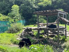 -宁波野生动物园
