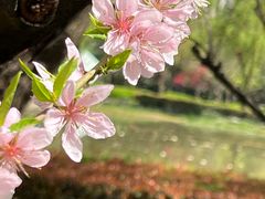 -木塔寺遗址生态公园