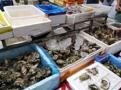水产区-渔人湾码头海鲜市场负二楼