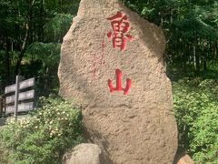 -鲁山国家森林公园