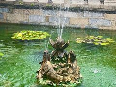 -上海醉白池公园