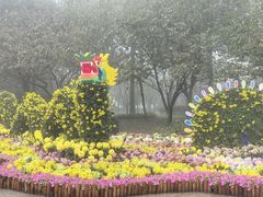 -南山植物园