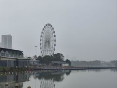 -飞来湖湿地公园