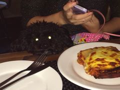 百好乐比萨-百好乐宠物友好餐厅(朝外大街店)