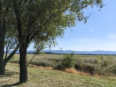 -野鸭湖国家湿地公园