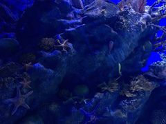 -海合安武汉极地海洋公园