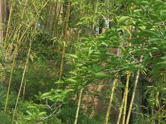 -东坡赤壁风景名胜区